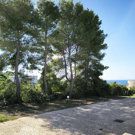Trilocale Nettuno By Puglia On Line