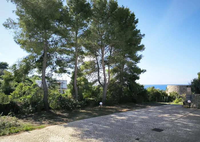 Trilocale Nettuno By Puglia On Line